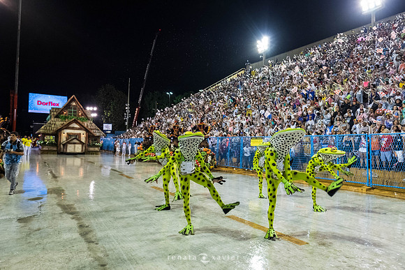 1322_Desfile Viradouro 2019_Fotógrafos Renata Xavier e Leandro Lucas
