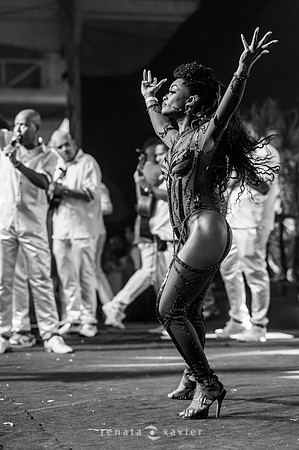 0277_Desfile Viradouro Cidade do Samba_Renata Xavier Fotografia_DSC_1968