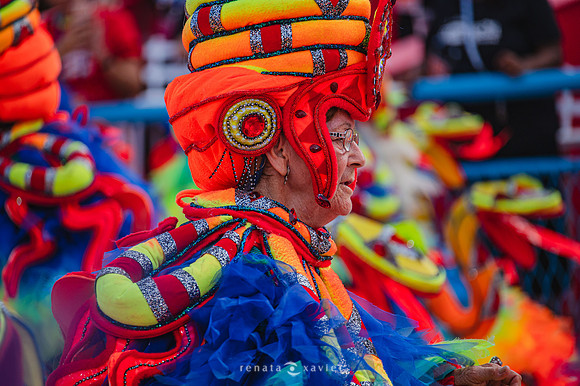 1717_Desfile das Campeãs Viradouro 2024_Renata Xavier Fotografia_DSC_8733_PB
