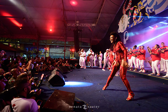 0260_Desfile Viradouro Cidade do Samba_Renata Xavier Fotografia_DSC_6898
