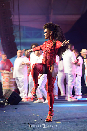 0270_Desfile Viradouro Cidade do Samba_Renata Xavier Fotografia_DSC_1964