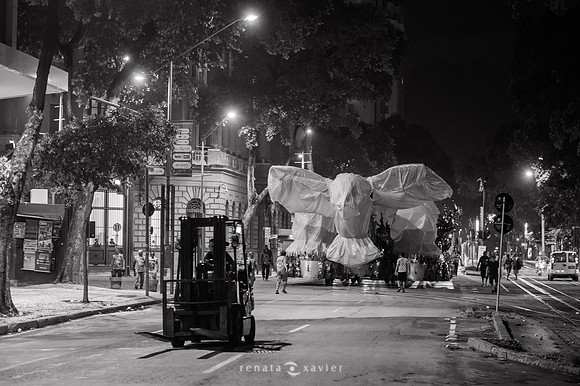 _LE19055