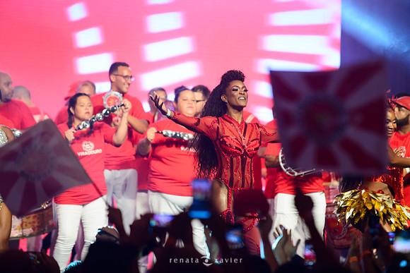 0172_Desfile Viradouro Cidade do Samba_Renata Xavier Fotografia__LEA6138
