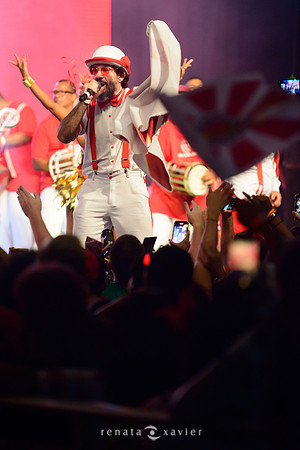 0252_Desfile Viradouro Cidade do Samba_Renata Xavier Fotografia__LEA6215