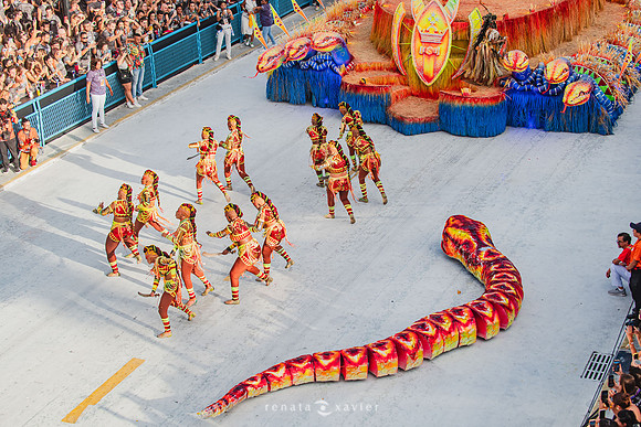 1838_Desfile das Campeãs Viradouro 2024_Renata Xavier Fotografia_DSC_9641_PB