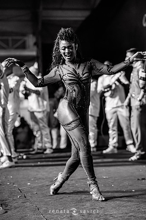 0313_Desfile Viradouro Cidade do Samba_Renata Xavier Fotografia_DSC_1986