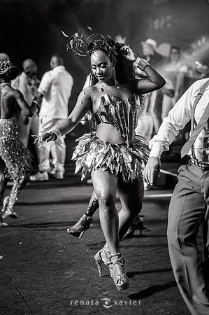 0167_Desfile Viradouro Cidade do Samba_Renata Xavier Fotografia_DSC_1916