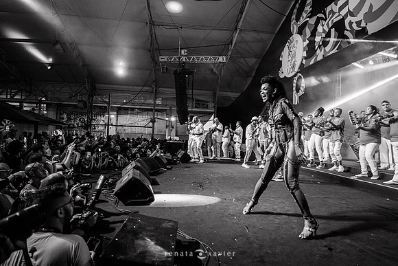 0259_Desfile Viradouro Cidade do Samba_Renata Xavier Fotografia_DSC_6898