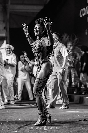 0283_Desfile Viradouro Cidade do Samba_Renata Xavier Fotografia_DSC_1975