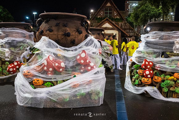 0026_Desfile Viradouro 2019_Fotógrafos Renata Xavier e Leandro Lucas