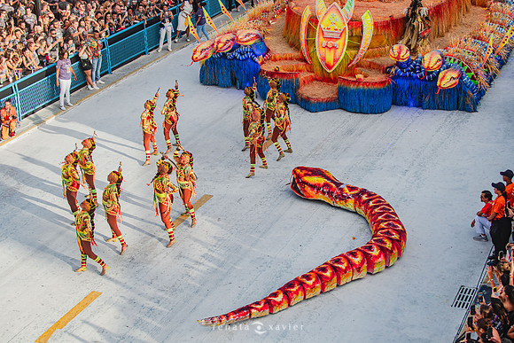 1841_Desfile das Campeãs Viradouro 2024_Renata Xavier Fotografia_DSC_9642_PB
