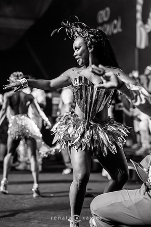 0153_Desfile Viradouro Cidade do Samba_Renata Xavier Fotografia_DSC_1906