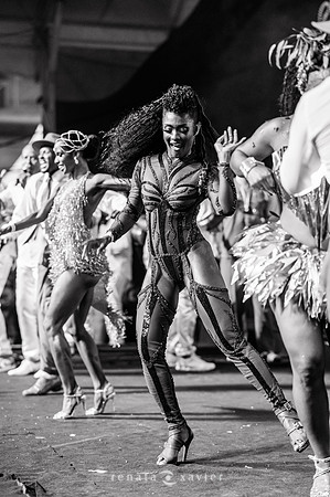 0193_Desfile Viradouro Cidade do Samba_Renata Xavier Fotografia_DSC_1922