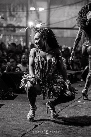 0211_Desfile Viradouro Cidade do Samba_Renata Xavier Fotografia_DSC_1934