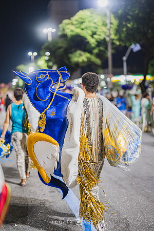 0305_Desfile União de Maricá na Sapucaí_Renata Xavier Fotografia_Z7X_1760_PB